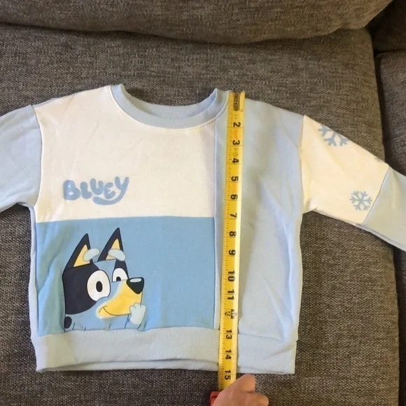 BLUEY Moose Toddler Boy Bluey Sweatshirt Pullover Sweatpants Set Blue Cream 3T - Picture 16 of 17